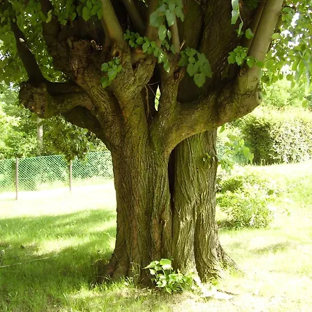 Paradise بيت للعطل *